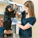 Veterinary Products Delivered