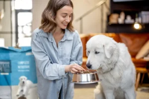 Read more about the article Feed Your Pet the Best with Portland Pet Food Company