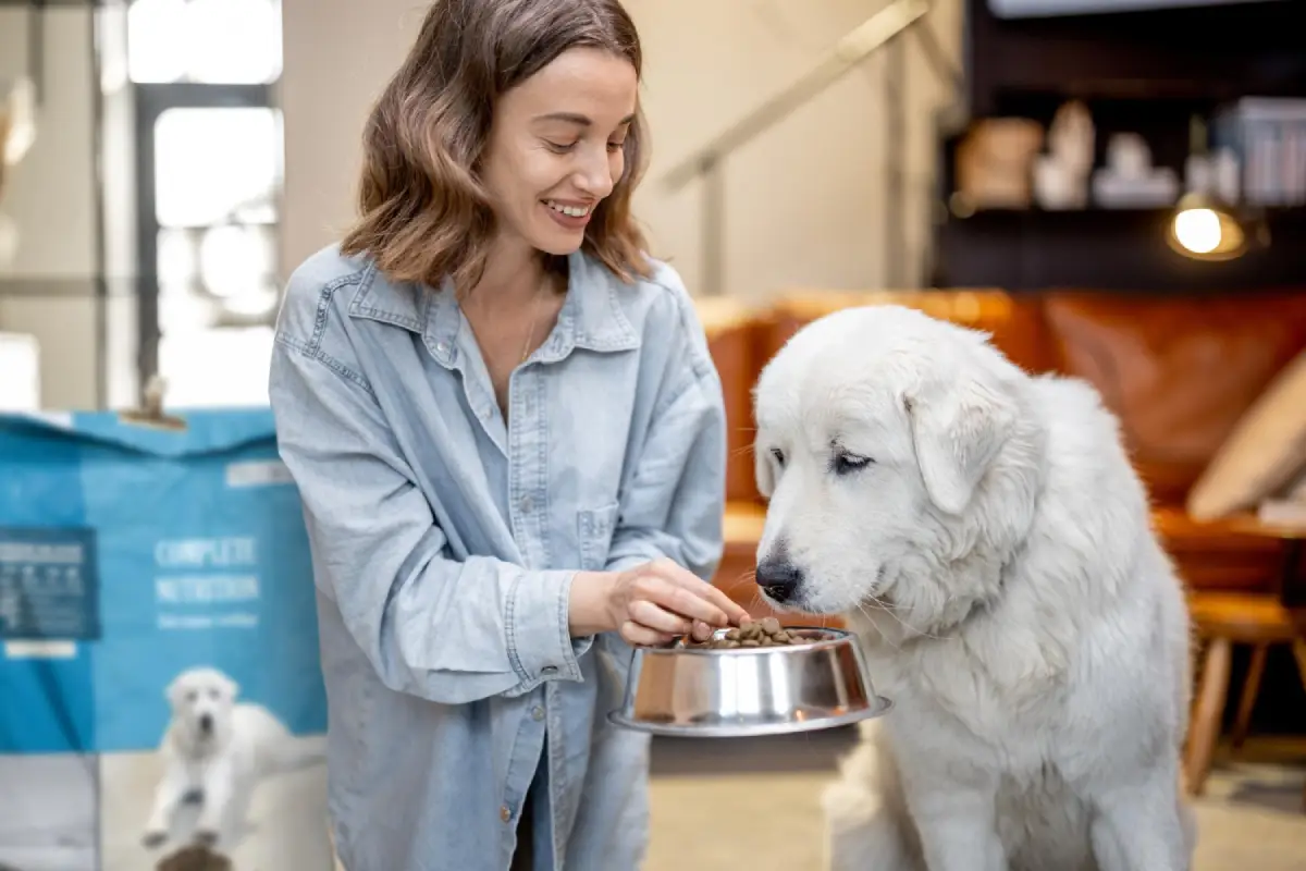 Feed Your Pet the Best with Portland Pet Food Company