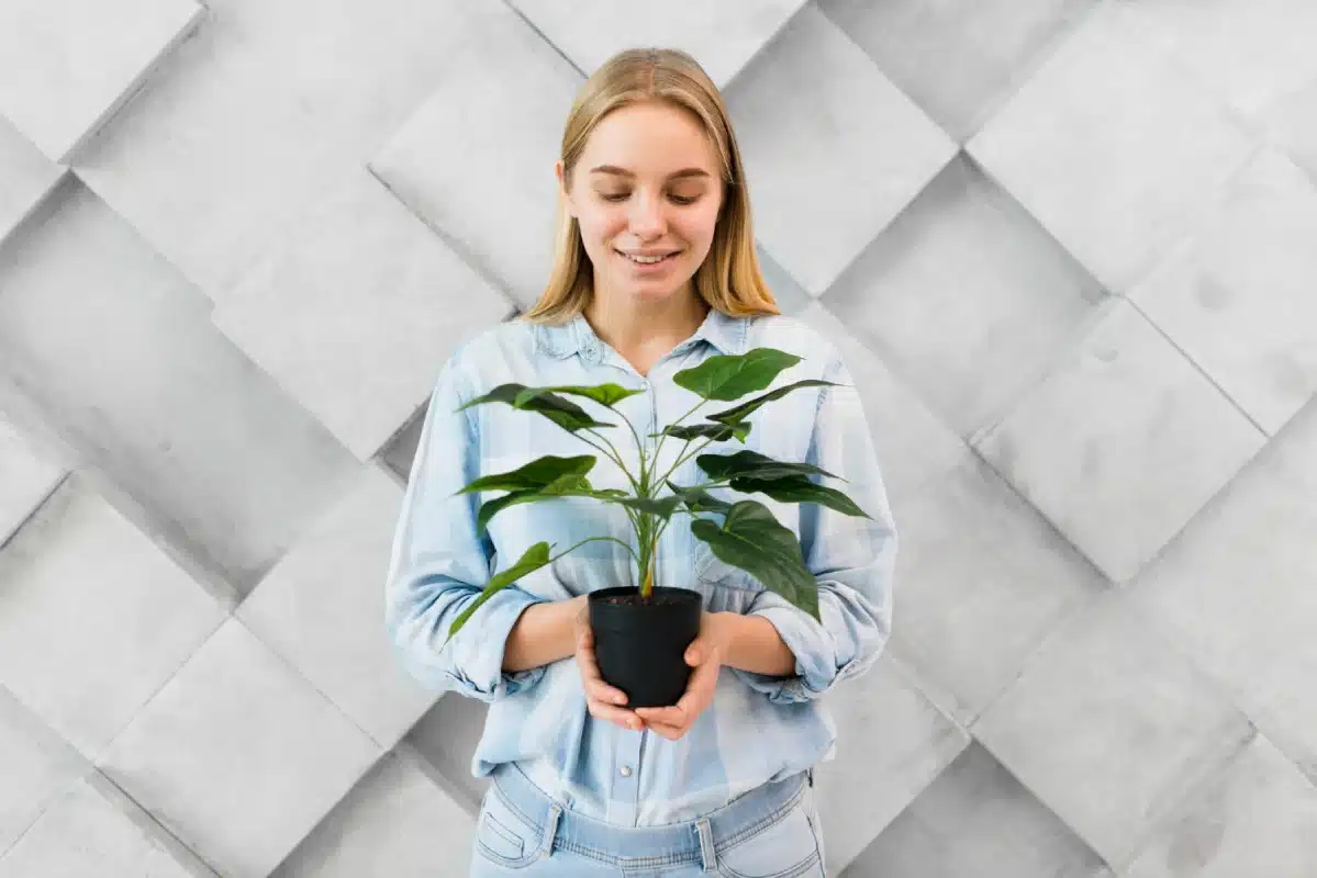 Enhance Your Space with Leaf & Clay’s Unique Plant Pots