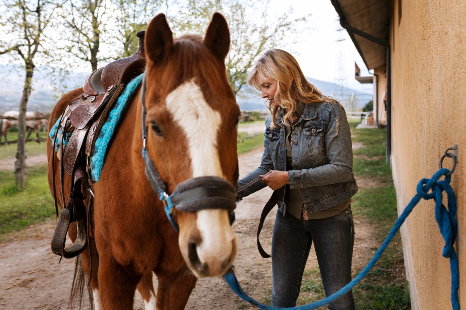 You are currently viewing Care For Your Equine Friends With Horse.com’s Comprehensive Supplies