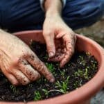 Grow Your Plants with Oobli