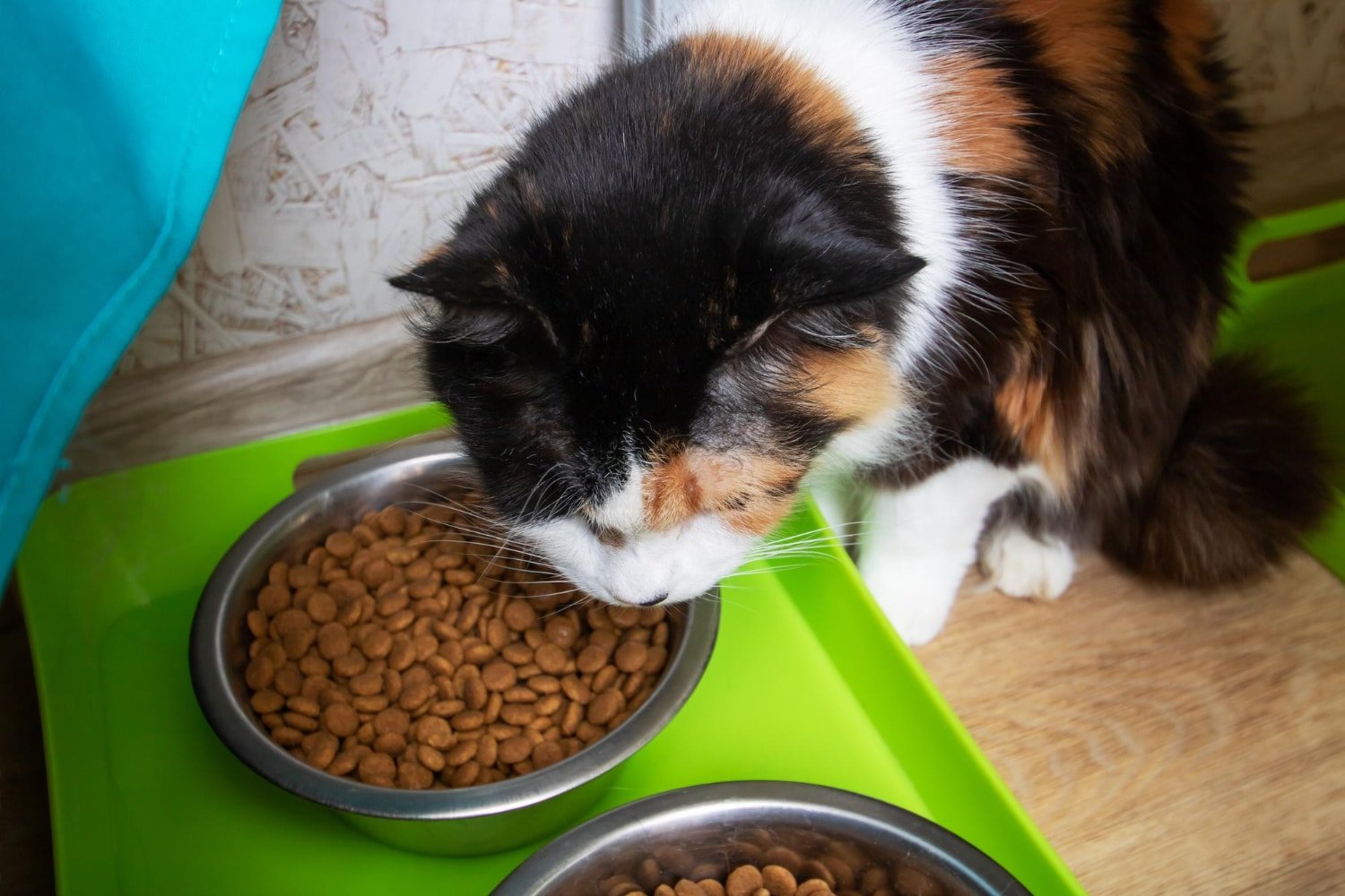 Read more about the article Quality Pet Supplies by Pet Supermarket