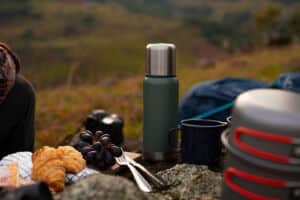 Read more about the article Keep Your Food And Drinks Perfectly Chilled With Thermos L.L.C.’s Reliable Insulated Products