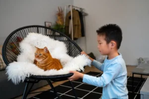 Read more about the article Design Your Cat’s Perfect Space with tuft and paw