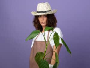 Read more about the article Hemptress: Sustainable and Stylish – Why Hemptress is the Future of Ethical Fashion